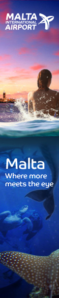 MLA homepage April 2013