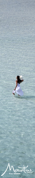 Mauritius Tourism homepage June 2013 - skyscraper
